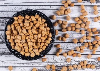 Bezzbożowa karma dla psa – dlaczego warto wybrać ją dla swojego pupila? - Zdrowie karma dla psa